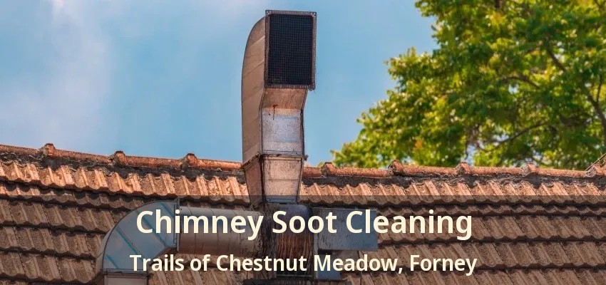 Chimney Soot Cleaning Trails of Chestnut Meadow, Forney - TX