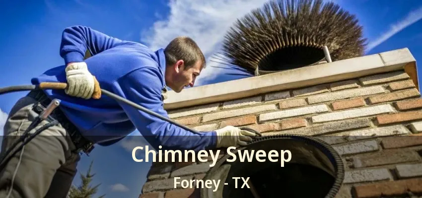 Chimney Sweep Forney - TX