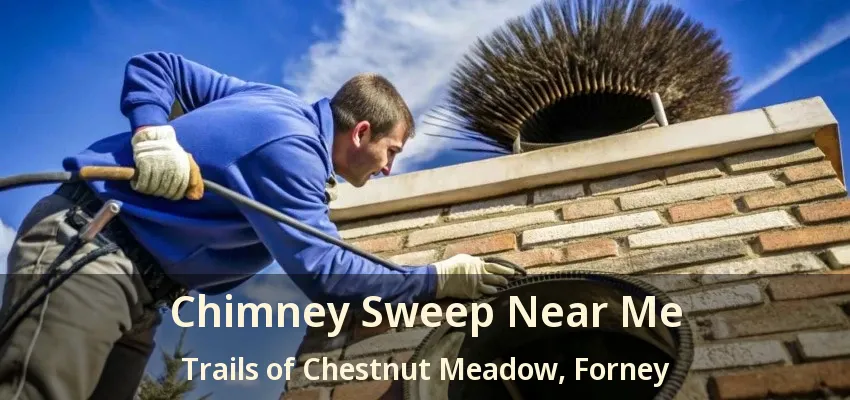 Chimney Sweep Near Me Trails of Chestnut Meadow, Forney - TX