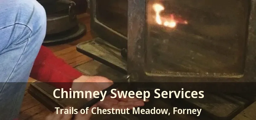 Chimney Sweep Services Trails of Chestnut Meadow, Forney - TX