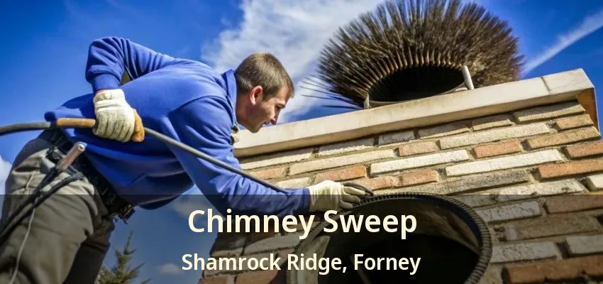 Chimney Sweep Shamrock Ridge, Forney - TX