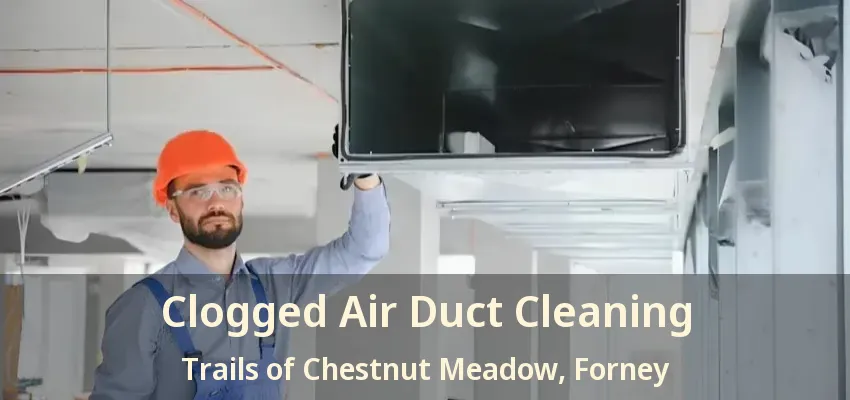 Clogged Air Duct Cleaning Trails of Chestnut Meadow, Forney - TX