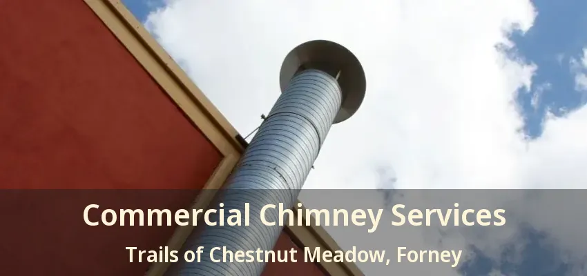 Commercial Chimney Services Trails of Chestnut Meadow, Forney - TX