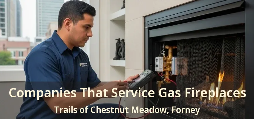 Companies That Service Gas Fireplaces Trails of Chestnut Meadow, Forney - TX