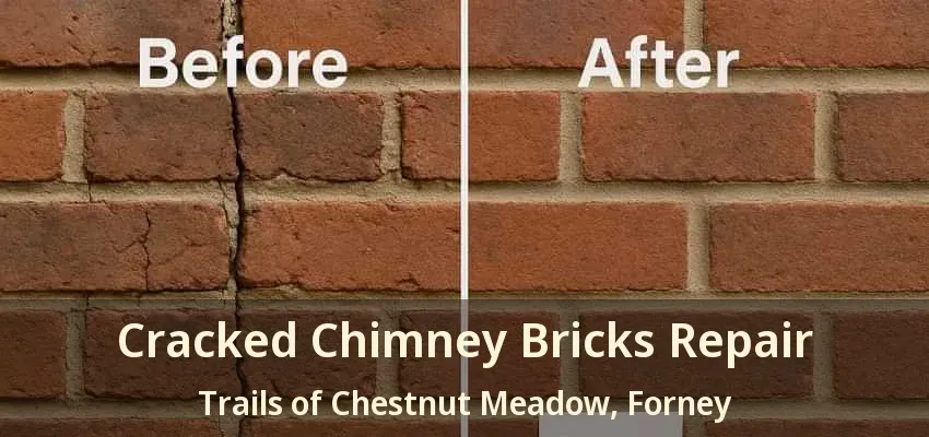Cracked Chimney Bricks Repair Trails of Chestnut Meadow, Forney - TX