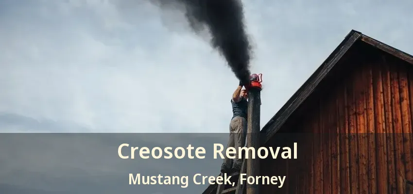 Creosote Removal Mustang Creek, Forney - TX