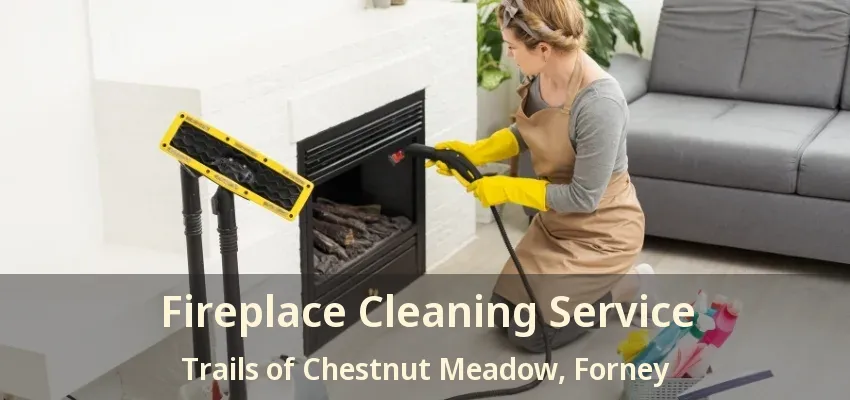 Fireplace Cleaning Service Trails of Chestnut Meadow, Forney - TX
