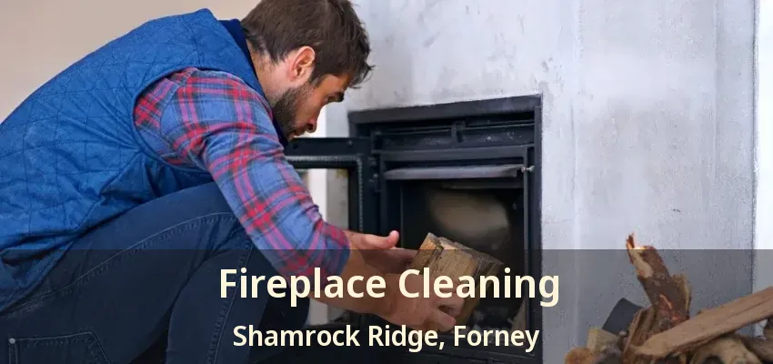 Fireplace Cleaning Shamrock Ridge, Forney - TX