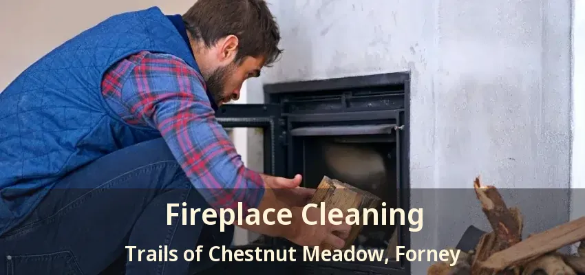 Fireplace Cleaning Trails of Chestnut Meadow, Forney - TX