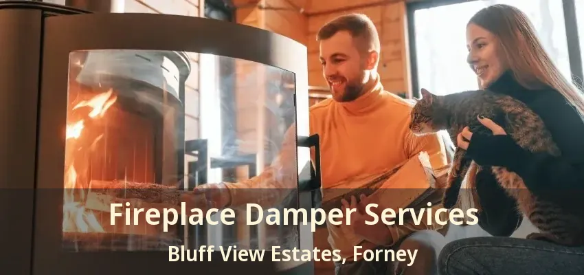 Fireplace Damper Services Bluff View Estates, Forney - TX