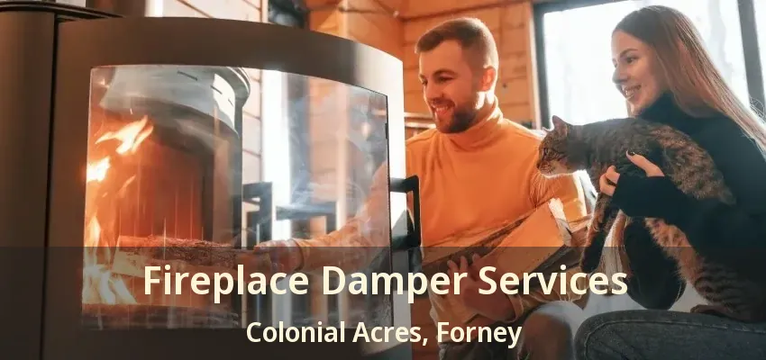 Fireplace Damper Services Colonial Acres, Forney - TX