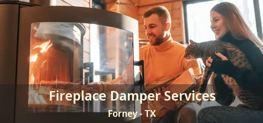 Fireplace Damper Services Forney - TX