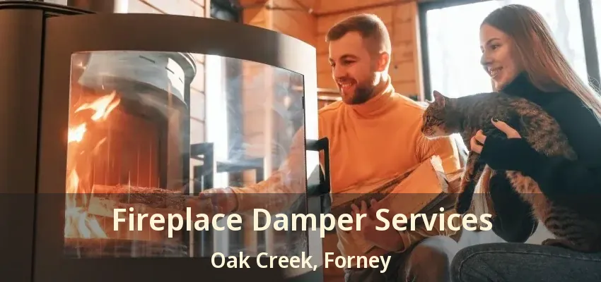 Fireplace Damper Services Oak Creek, Forney - TX