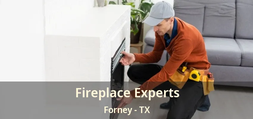 Fireplace Experts Forney - TX