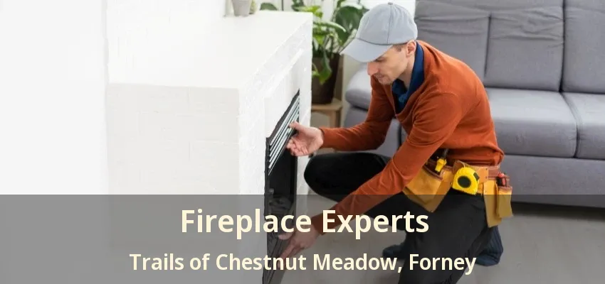 Fireplace Experts Trails of Chestnut Meadow, Forney - TX