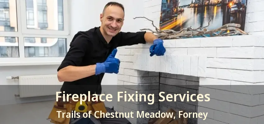 Fireplace Fixing Services Trails of Chestnut Meadow, Forney - TX