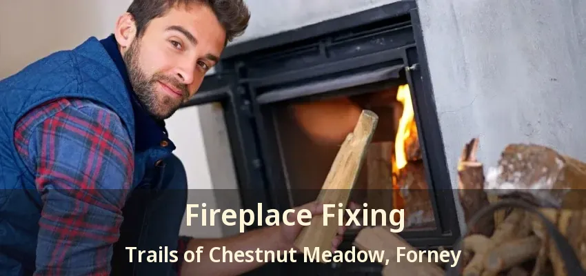 Fireplace Fixing Trails of Chestnut Meadow, Forney - TX