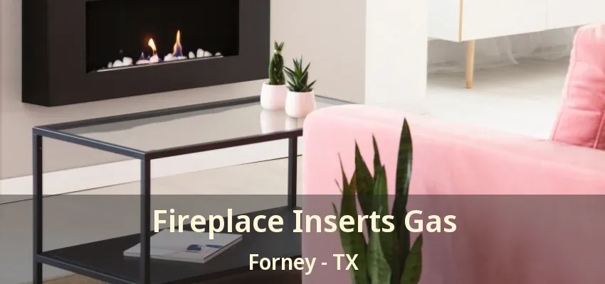 Fireplace Inserts Gas Forney - TX