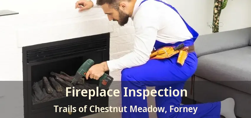 Fireplace Inspection Trails of Chestnut Meadow, Forney - TX