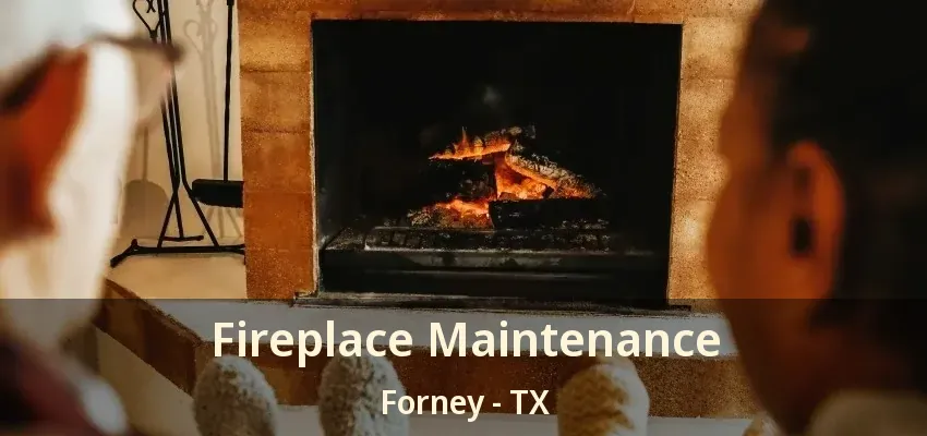 Fireplace Maintenance Forney - TX