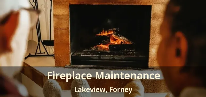 Fireplace Maintenance Lakeview, Forney - TX