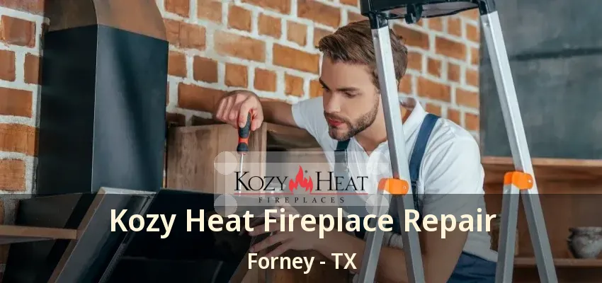 Kozy Heat Fireplace Repair Forney - TX
