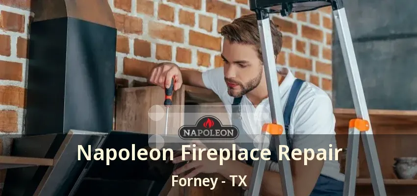 Napoleon Fireplace Repair Forney - TX