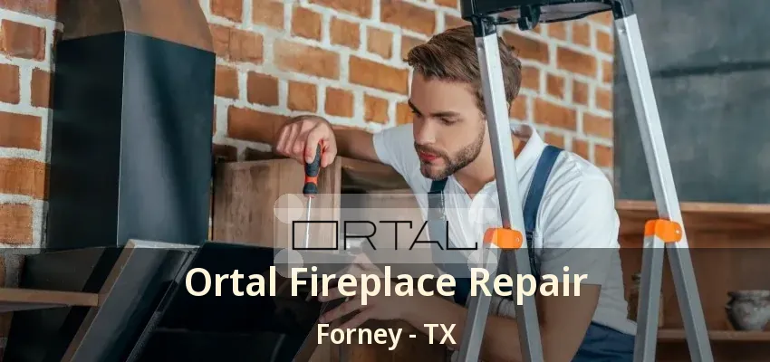 Ortal Fireplace Repair Forney - TX