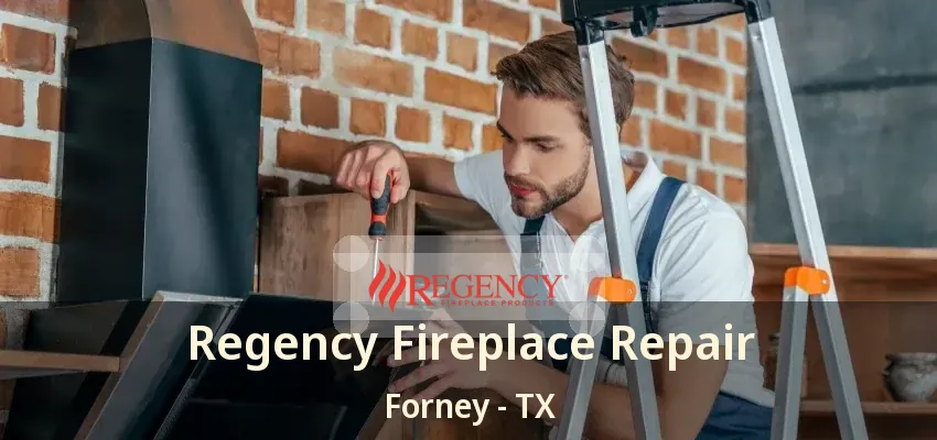 Regency Fireplace Repair Forney - TX