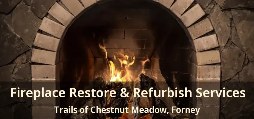 Fireplace Restore & Refurbish Services Trails of Chestnut Meadow, Forney - TX