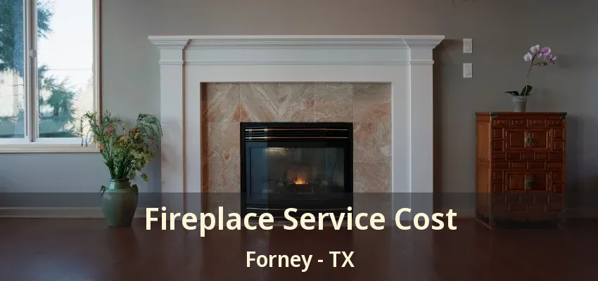 Fireplace Service Cost Forney - TX