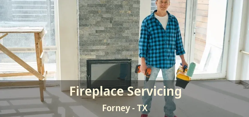 Fireplace Servicing Forney - TX