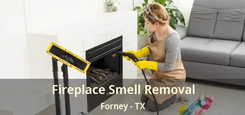 Fireplace Smell Removal Forney - TX