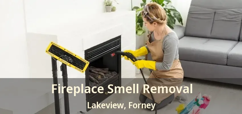 Fireplace Smell Removal Lakeview, Forney - TX
