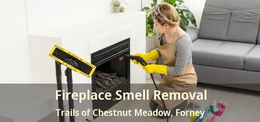 Fireplace Smell Removal Trails of Chestnut Meadow, Forney - TX