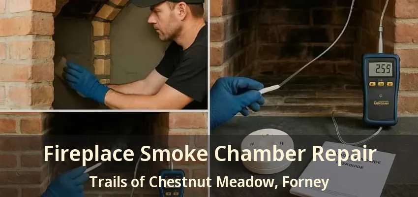 Fireplace Smoke Chamber Repair Trails of Chestnut Meadow, Forney - TX