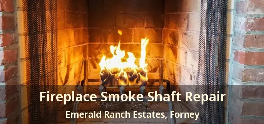 Fireplace Smoke Shaft Repair Emerald Ranch Estates, Forney - TX