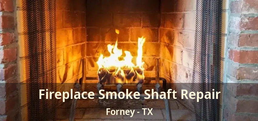 Fireplace Smoke Shaft Repair Forney - TX