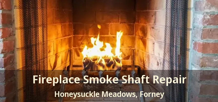 Fireplace Smoke Shaft Repair Honeysuckle Meadows, Forney - TX