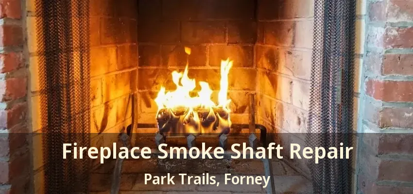 Fireplace Smoke Shaft Repair Park Trails, Forney - TX