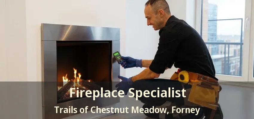 Fireplace Specialist Trails of Chestnut Meadow, Forney - TX