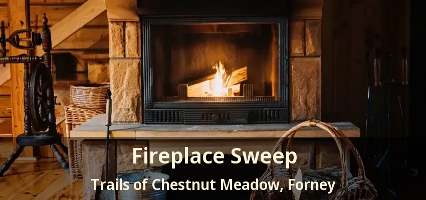 Fireplace Sweep Trails of Chestnut Meadow, Forney - TX