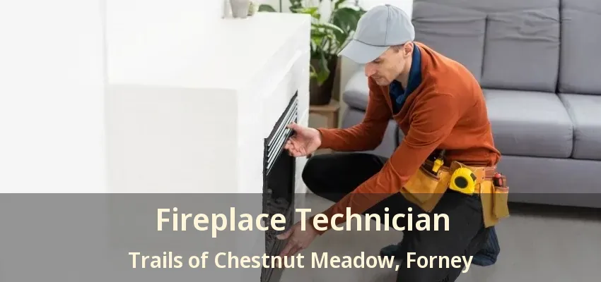 Fireplace Technician Trails of Chestnut Meadow, Forney - TX