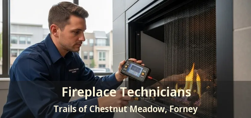 Fireplace Technicians Trails of Chestnut Meadow, Forney - TX