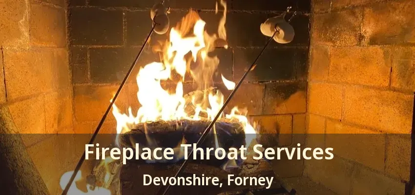 Fireplace Throat Services Devonshire, Forney - TX