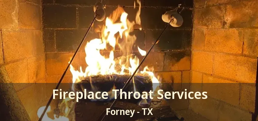 Fireplace Throat Services Forney - TX