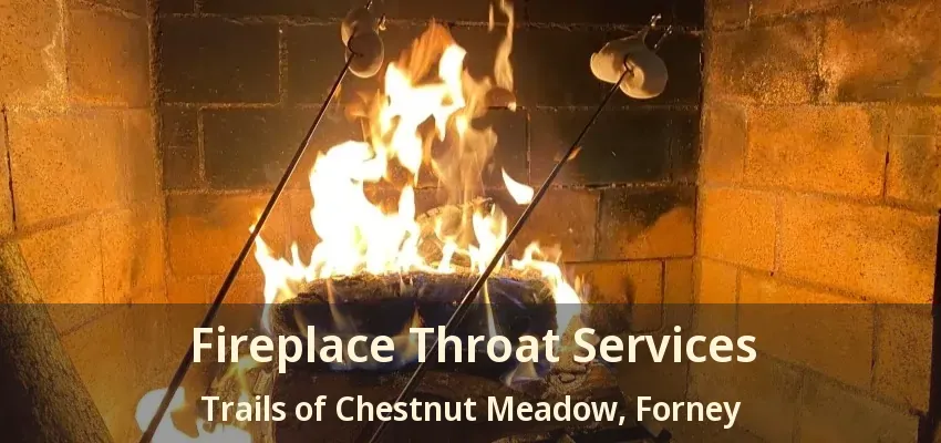Fireplace Throat Services Trails of Chestnut Meadow, Forney - TX