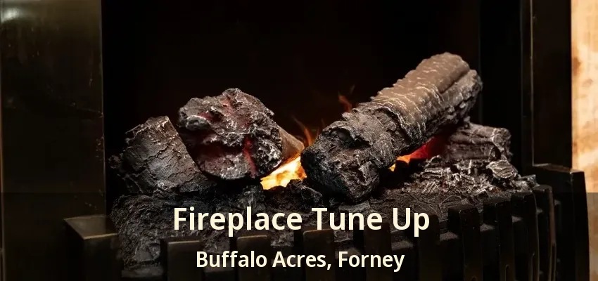 Fireplace Tune Up Buffalo Acres, Forney - TX