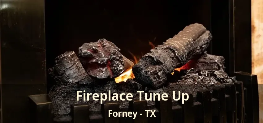 Fireplace Tune Up Forney - TX