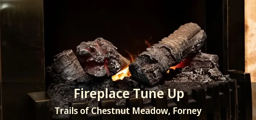 Fireplace Tune Up Trails of Chestnut Meadow, Forney - TX
